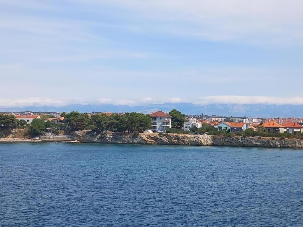 Lila1 * Zadar